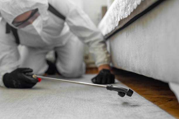 Professional Bed Bug Control technician working in Saginaw, TX